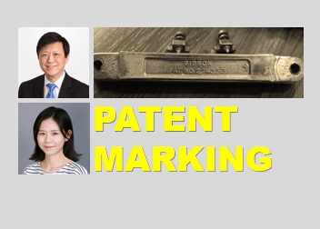Is Patent Marking the Patent Owner’s Right or Statutory Duty?